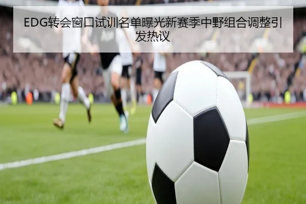 EDG转会窗口试训名单曝光新赛季中野组合调整引发热议
